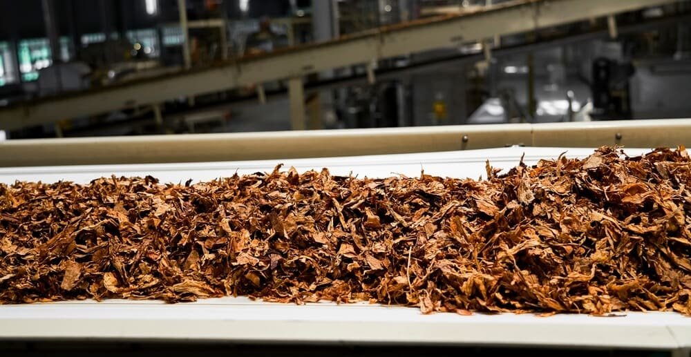 tobacco meaning in health Risks of Tobacco